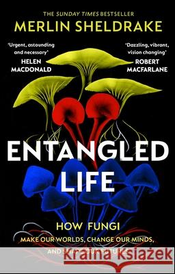 Entangled Life: How Fungi Make Our Worlds, Change Our Minds and Shape Our Futures Merlin Sheldrake 9781784708276 Vintage Publishing - książka
