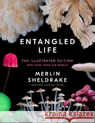 Entangled Life: Illustrated Edition Merlin Sheldrake Steve Axford 9780593729984 Random House - książka