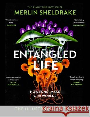 Entangled Life (The Illustrated Edition) Merlin Sheldrake 9781847927736 Vintage Publishing - książka