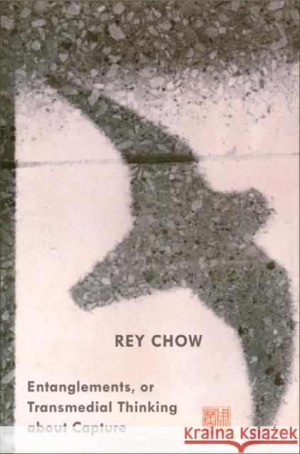 Entanglements, or Transmedial Thinking about Capture Rey Chow 9780822352167 Duke University Press - książka
