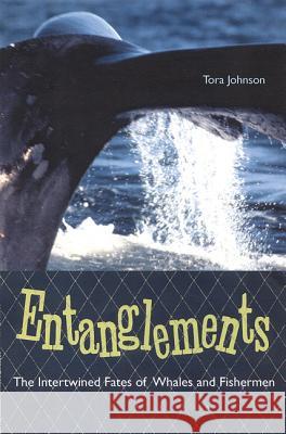 Entanglements: The Intertwined Fates of Whales and Fishermen Johnson, Tora 9780813032153 University Press of Florida - książka