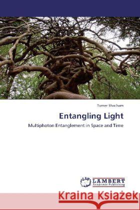 Entangling Light : Multiphoton Entanglement in Space and Time Shacham, Tomer 9783659248313 LAP Lambert Academic Publishing - książka