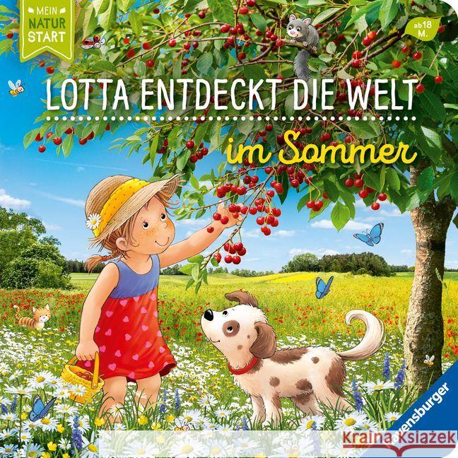Entdecke den Sommer mit Lotta Grimm, Sandra 9783473418886 Ravensburger Verlag - książka