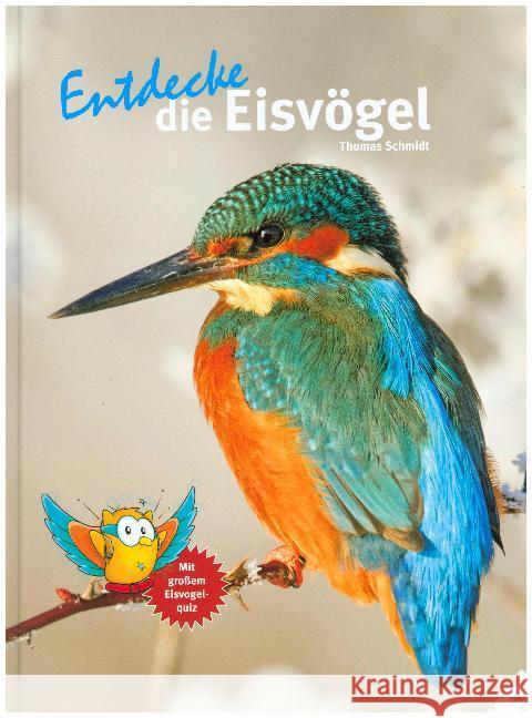 Entdecke die Eisvögel : Mit großem Eisvögel-Quiz Schmidt, Thomas 9783866593831 Natur und Tier-Verlag - książka