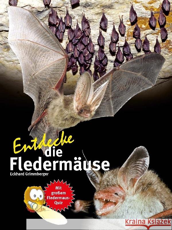 Entdecke die Fledermäuse Grimmberger, Eckhard 9783866595026 Natur und Tier-Verlag - książka