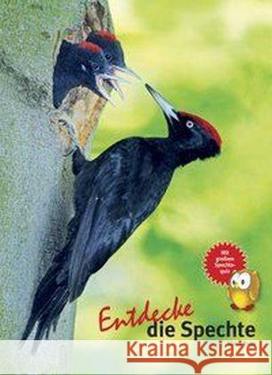 Entdecke die Spechte Ruge, Klaus 9783866592865 Natur und Tier-Verlag - książka