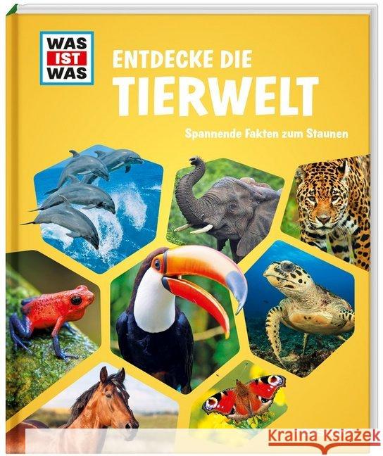 Entdecke die Tierwelt : Spannende Fakten zum Staunen  9783788622794 Tessloff - książka