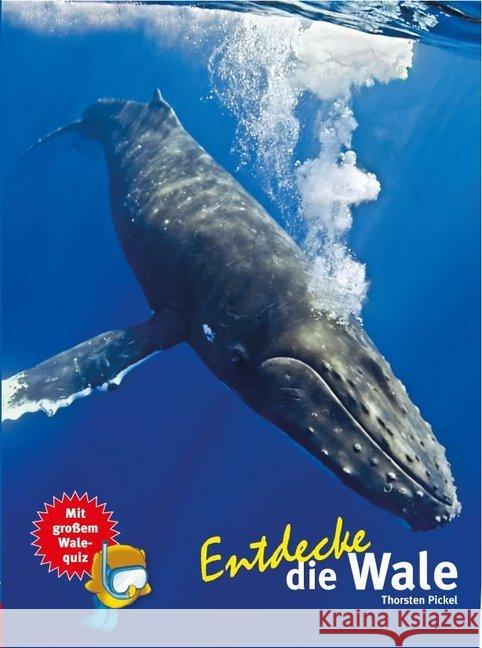 Entdecke die Wale : Mit großem Walequiz Pickel, Thorsten 9783866592483 Natur und Tier-Verlag - książka