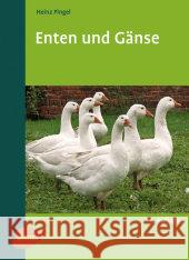 Enten und Gänse Pingel, Heinz   9783800147281 Ulmer (Eugen) - książka