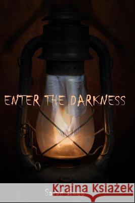 Enter the Darkness Sarah Budd Carrie Allison-Rolling Villimey Mist 9781957537108 Brigids Gate Press - książka