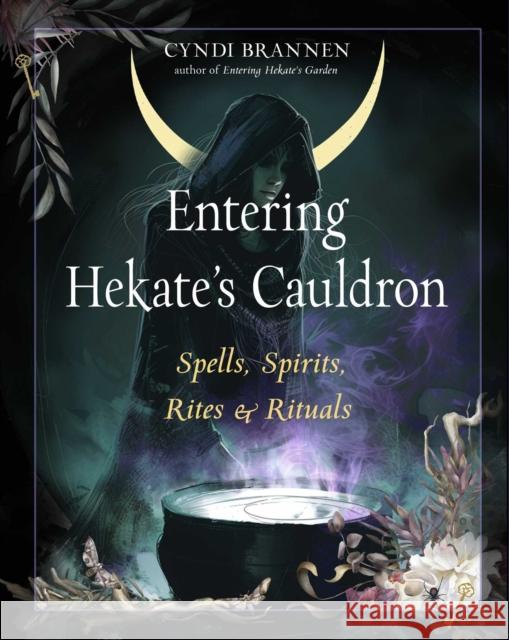 Entering Hekate's Cauldron: Spells, Spirits, Rites, and Rituals Cyndi, Ph.D Brannen 9781578638819 Weiser Books - książka