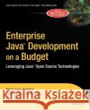 Enterprise Java Development on a Budget: Leveraging Java Open Source Technologies Sam-Bodden, Brian 9781590591253 Apress