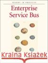 Enterprise Service Bus: Theory in Practice [With Quick-Ref Card] Chappell, David A. 9780596006754 O'Reilly Media