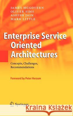 Enterprise Service Oriented Architectures: Concepts, Challenges, Recommendations McGovern, James 9781402037047 Springer - książka