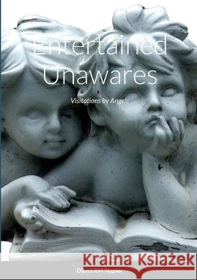 Entertained Unawares: Visitations by Angels David Napier 9781291427493 Lulu.com - książka