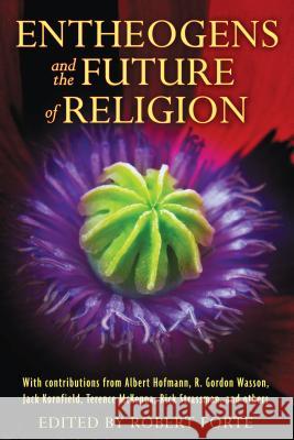 Entheogens and the Future of Religion Robert Forte 9781594774386 Park Street Press - książka