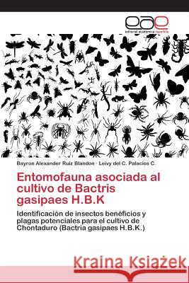 Entomofauna asociada al cultivo de Bactris gasipaes H.B.K Ruiz Blandon Bayron Alexander 9783659073298 Editorial Academica Espanola - książka