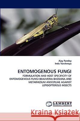 Entomogenous Fungi Ajay Pandey, Indu Varshneya 9783838349763 LAP Lambert Academic Publishing - książka