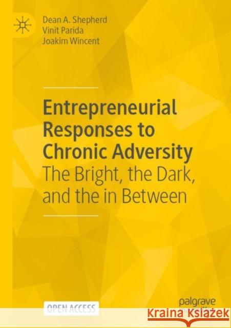 Entrepreneurial Responses to Chronic Adversity: The Bright, the Dark, and the in Between Shepherd, Dean A. 9783031048869 Springer International Publishing - książka