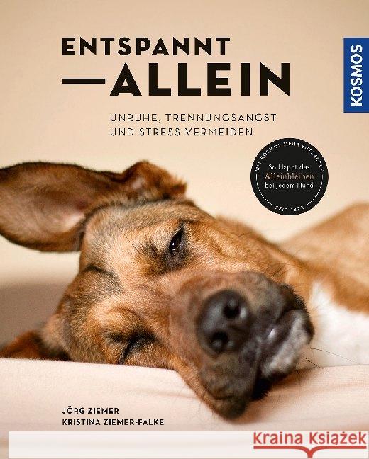 Entspannt allein : Unruhe, Trennungsangst und Stress vermeiden. So klappt das Alleinbleiben bei jedem Hund Ziemer-Falke, Kristina; Ziemer, Jörg 9783440156070 Kosmos (Franckh-Kosmos) - książka