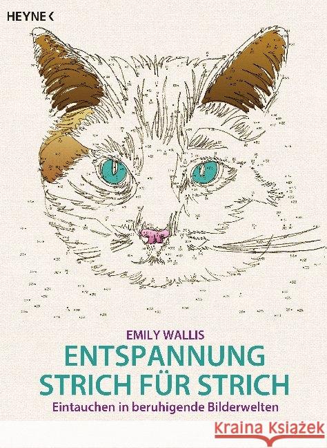 Entspannung Strich für Strich : Eintauchen in beruhigende Bilderwelten Wallis, Emily 9783453604032 Heyne - książka