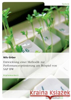 Entwicklung einer Methodik zur Performanceoptimierung am Beispiel von SAP BW Nils Groer 9783638689434 Grin Verlag - książka