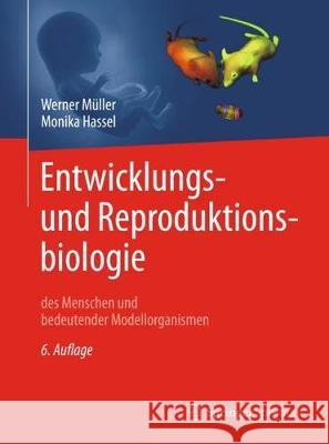 Entwicklungsbiologie Und Reproduktionsbiologie Des Menschen Und Bedeutender Modellorganismen Müller, Werner A. 9783662555330 Springer Spektrum - książka