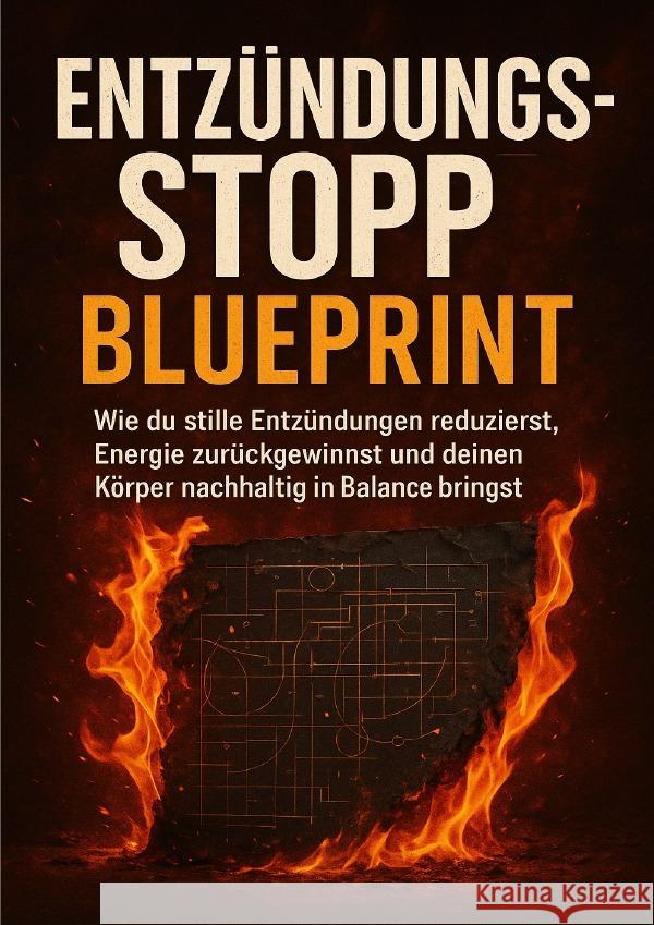Entzündungsstopp Blueprint Krüger, Lina 9783565104567 epubli - książka