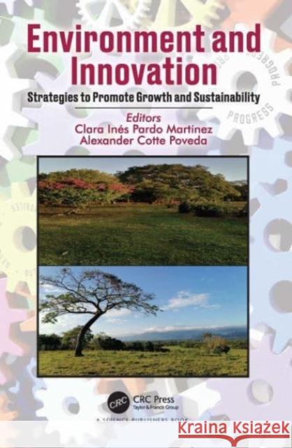 Environment and Innovation  9780367682767 Taylor & Francis Ltd - książka