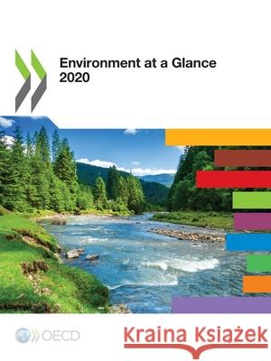 Environment at a Glance 2020 Oecd 9789264498556 Org. for Economic Cooperation & Development - książka