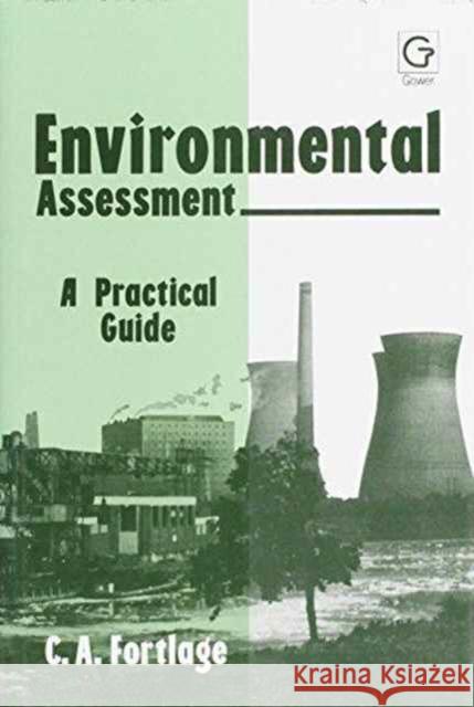 Environmental Assessment: A Practical Guide Fortlage, C. A. 9780566090455 Gower Publishing Ltd - książka