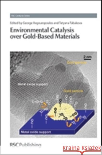 Environmental Catalysis Over Gold-Based Materials Avgouropoulos, George 9781849735711 Royal Society of Chemistry - książka