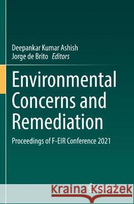 Environmental Concerns and Remediation  9783031059865 Springer International Publishing - książka