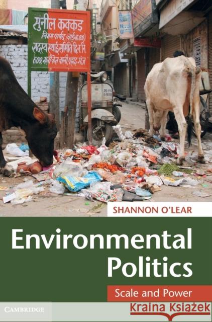 Environmental Politics: Scale and Power O'Lear, Shannon 9780521765763  - książka