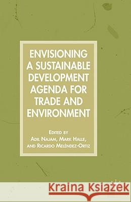 Envisioning a Sustainable Development Agenda for Trade and Environment Adil Najam Mark Halle Ricardo Melendez-Ortiz 9781403975720 Palgrave MacMillan - książka