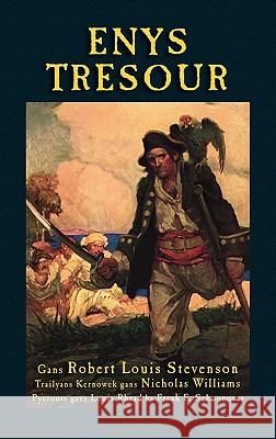 Enys Tresour: Treasure Island in Cornish Stevenson, Robert Louis 9781904808596 Evertype - książka