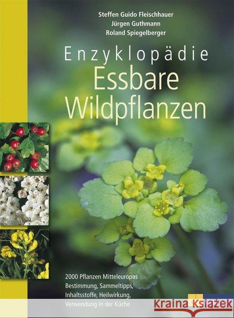 Enzyklopädie essbare Wildpflanzen : 2000 Pflanzen Mitteleuropas. Bestimmung, Sammeltipps, Inhaltsstoffe, Heilwirkung, Verwendung in der Küche Guthmann, Jürgen; Fleischhauer, Steffen G.; Spiegelberger, Roland 9783038007524 AT-Verlag - książka