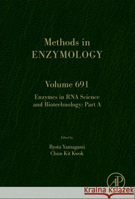 Enzymes in RNA Science and Biotechnology: Volume 690 Kit Kwok Ryota Yamagami 9780443157707 Academic Press - książka