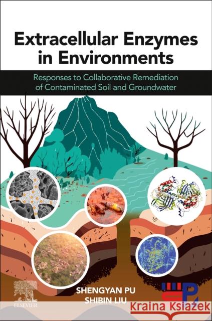 Extracellular Enzymes in Environments: Responses to Collaborative Remediation of Contaminated Soil and Groundwater Shengyan Pu Shibin Liu Babar Hussain 9780443217722 Elsevier - Health Sciences Division - książka