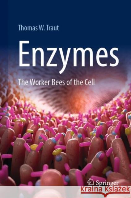 Enzymes: The Worker Bees of the Cell Traut, Thomas W. 9783031936074 Springer - książka