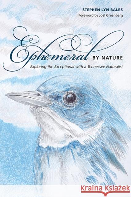 Ephemeral by Nature: Exploring the Exceptional with a Tennessee Naturalist Stephen Lyn Bales 9781621903543 Univ Tennessee Press - książka