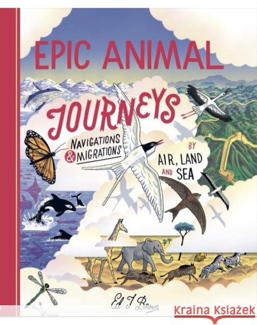 Epic Animal Journeys: Migration and navigation by air, land and sea Ed J. Brown 9781800660298 Cicada Books - książka