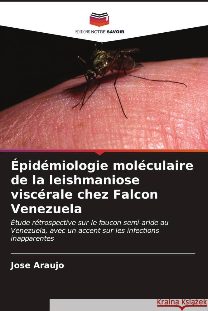 Épidémiologie moléculaire de la leishmaniose viscérale chez Falcon Venezuela Araujo, Jose 9786206914631 Editions Notre Savoir - książka