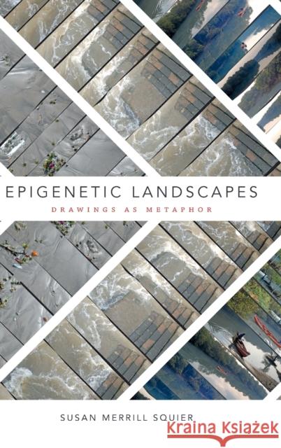 Epigenetic Landscapes: Drawings as Metaphor Susan Merrill Squier 9780822368601 Duke University Press - książka