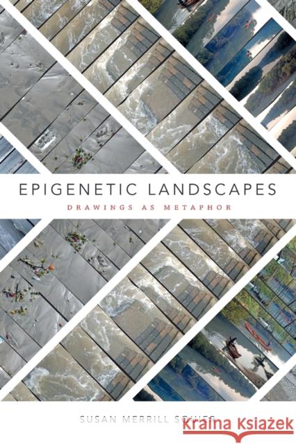 Epigenetic Landscapes: Drawings as Metaphor Susan Merrill Squier 9780822368724 Duke University Press - książka