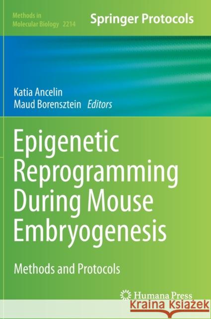 Epigenetic Reprogramming During Mouse Embryogenesis: Methods and Protocols Ancelin, Katia 9781071609576 Humana - książka