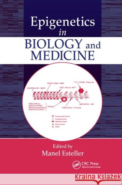 Epigenetics in Biology and Medicine Manel Esteller 9780367403492 CRC Press - książka