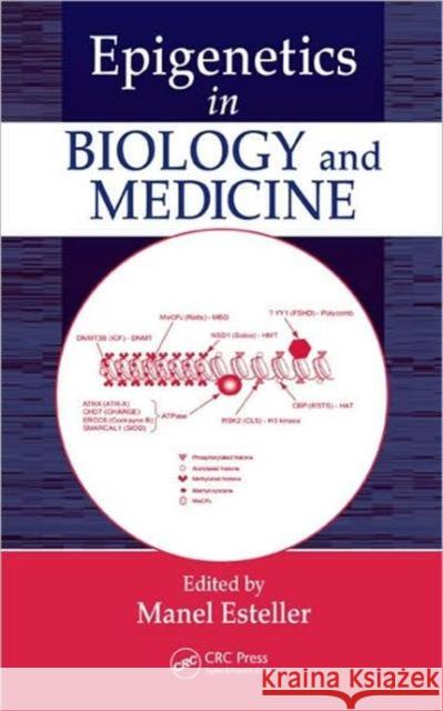 Epigenetics in Biology and Medicine Esteller Esteller Manel Esteller Manel Esteller 9780849372896 CRC Press - książka