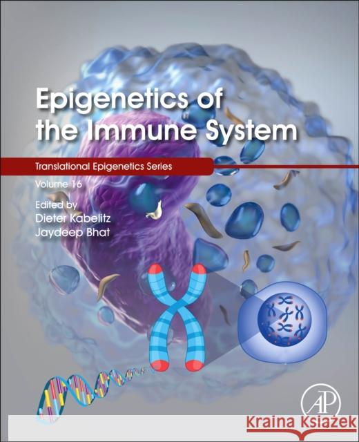 Epigenetics of the Immune System: Volume 16 Kabelitz, Dieter 9780128179642 Academic Press - książka