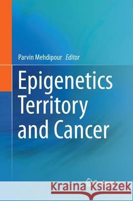 Epigenetics Territory and Cancer Parvin Mehdipour 9789402408164 Springer - książka